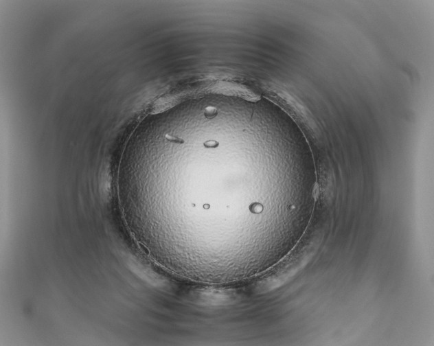 X0000110950261200906261326