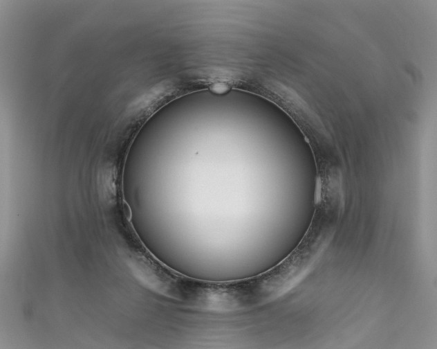 X0000110950264200906261326