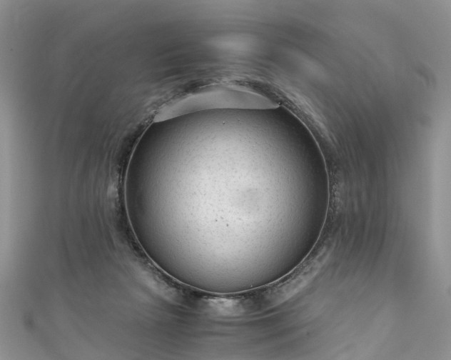 X0000110950265200906261326