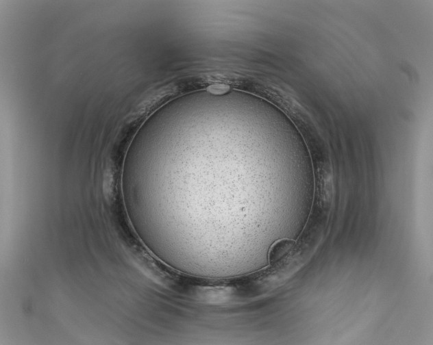 X0000110950266200906261326