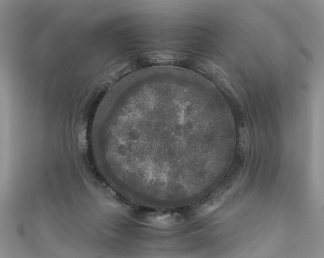 X0000110950267200906261327