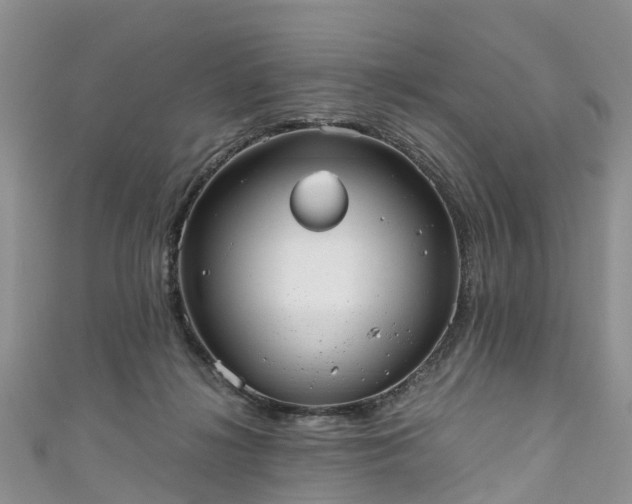 X0000110950268200906261327