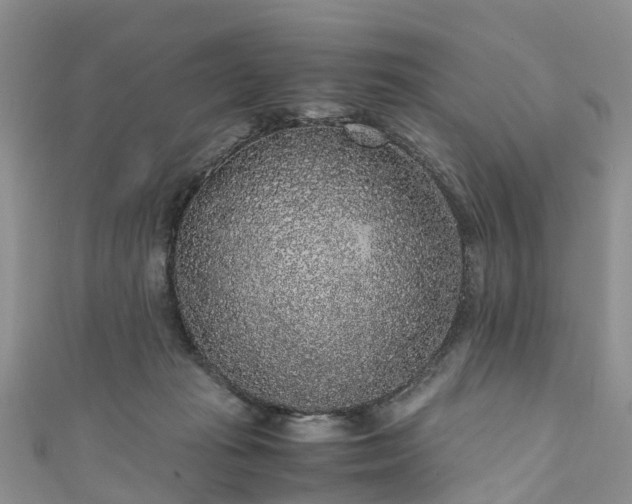 X0000110950269200906261327