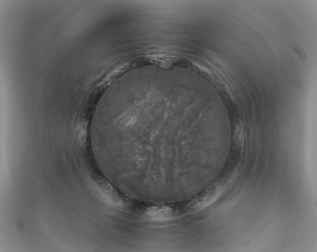 X0000110950271200906261327