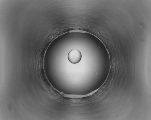 X0000110950272200906261327