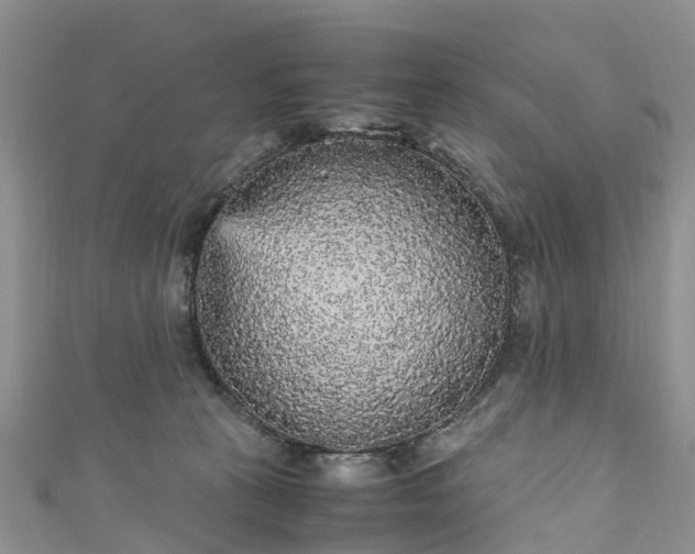 X0000110950273200906261327