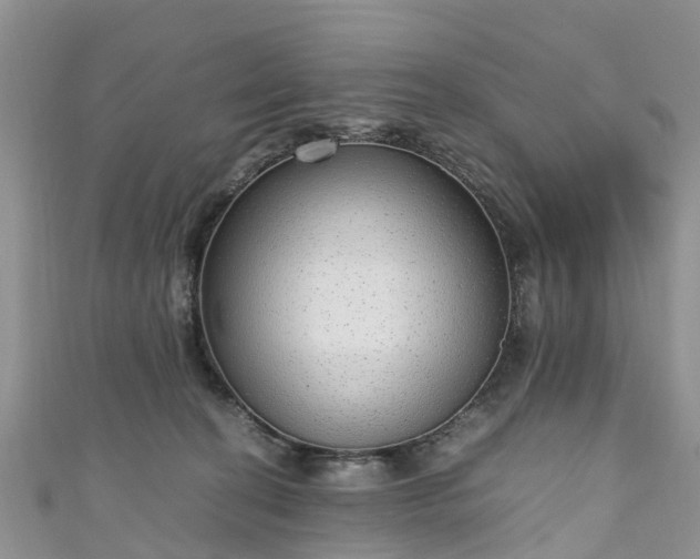 X0000110950274200906261327