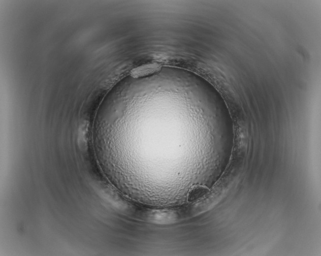 X0000110950275200906261327