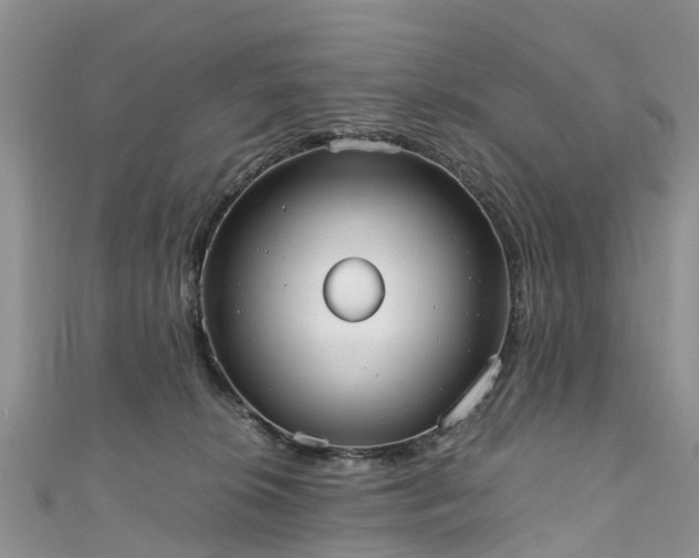 X0000110950276200906261327