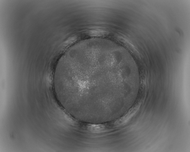 X0000110950277200906261327