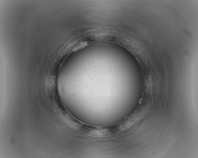 X0000110950278200906261327