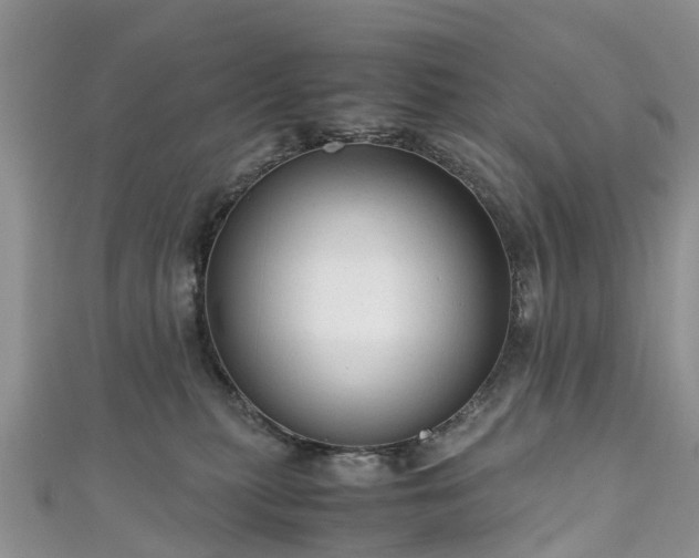 X0000110950279200906261327