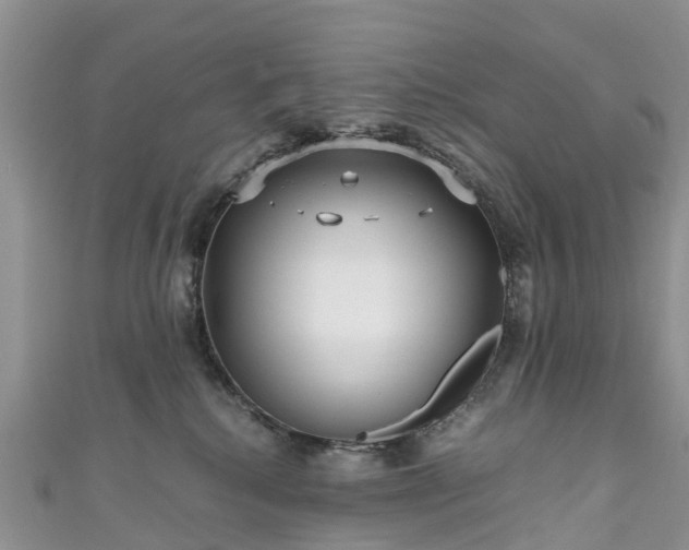 X0000110950280200906261327