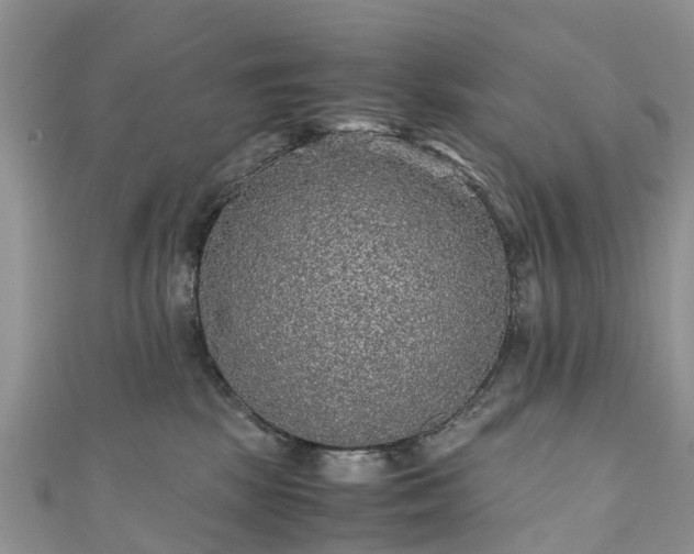 X0000110950281200906261327