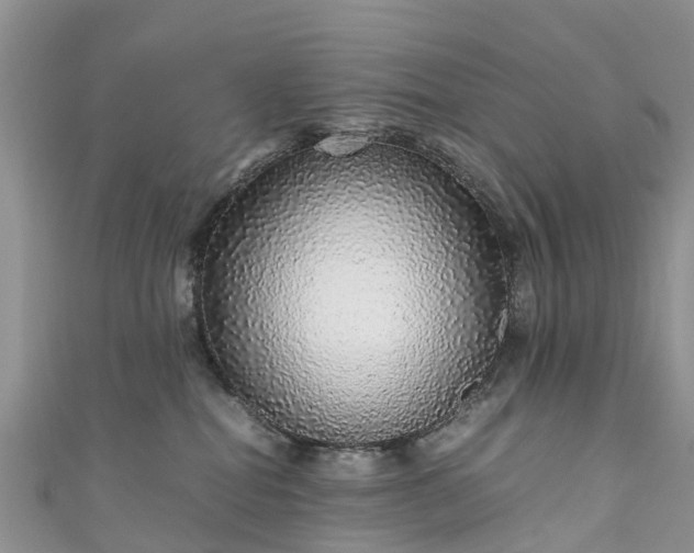 X0000110950282200906261327