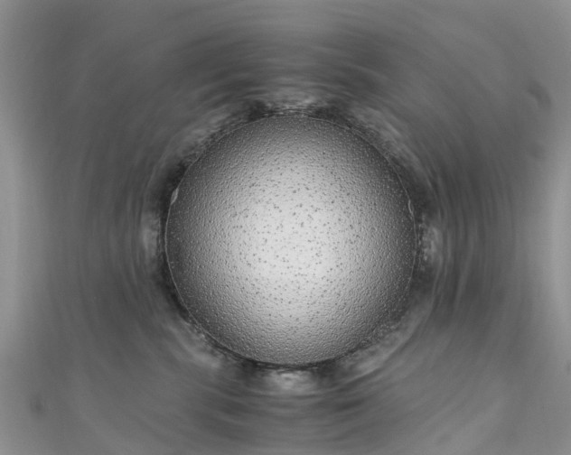 X0000110950283200906261327