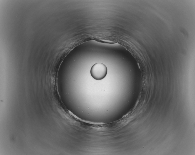 X0000110950284200906261327