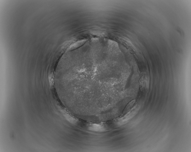 X0000110950285200906261327