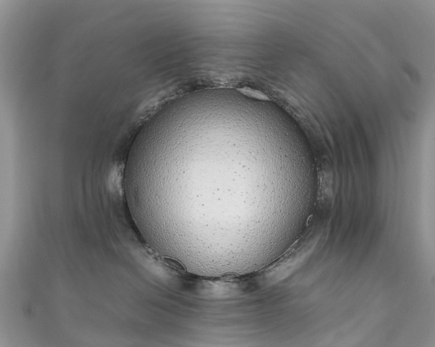 X0000110950286200906261327