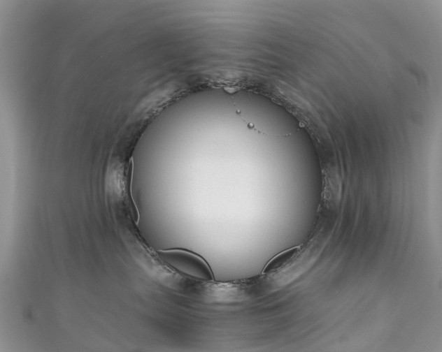 X0000110950287200906261327