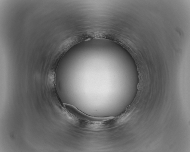 X0000110950288200906261327