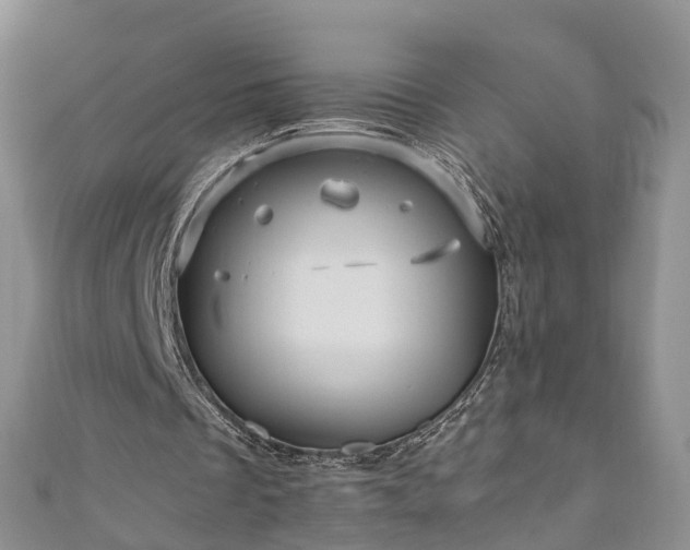 X0000110950289200906261326