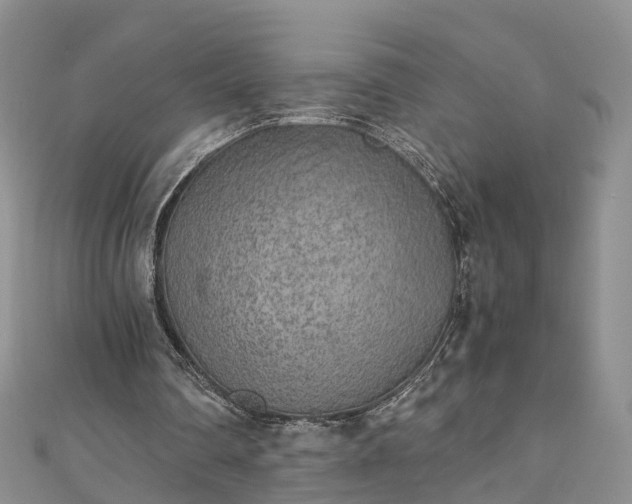 X0000110950290200906261326