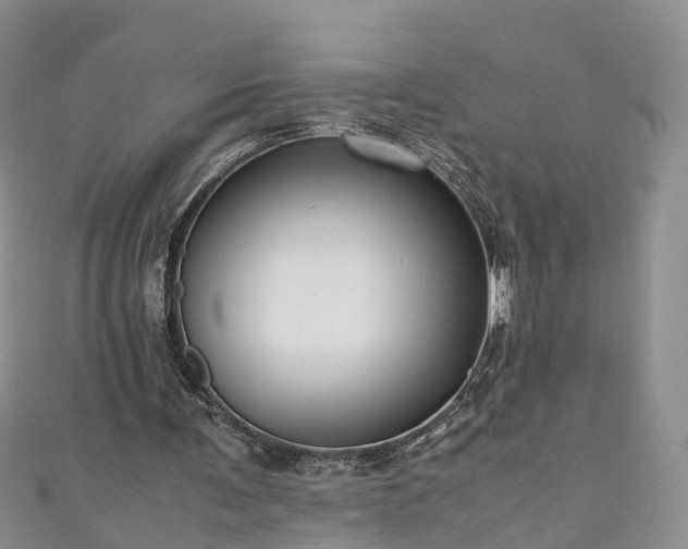 X0000110950291200906261326