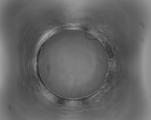 X0000110950293200906261326