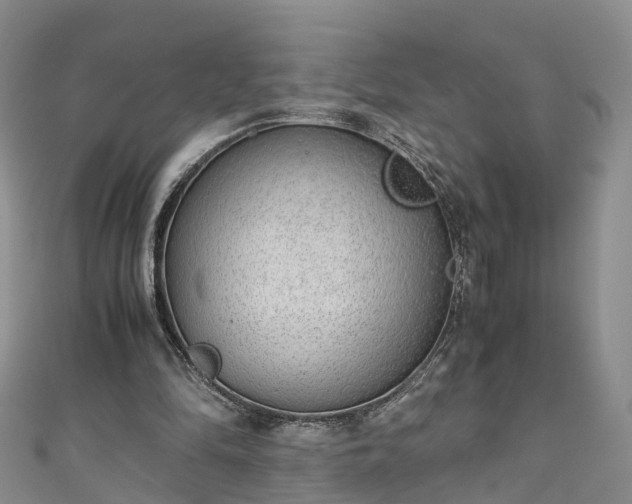 X0000110950294200906261326