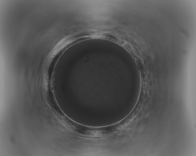 X0000110950295200906261326