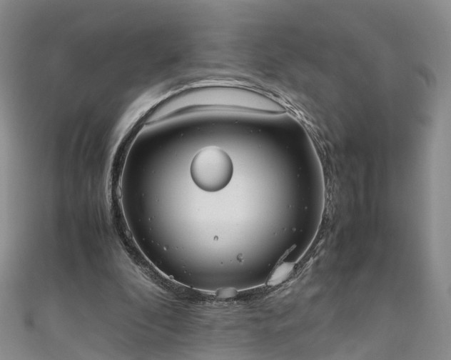 X0000110950296200906261326