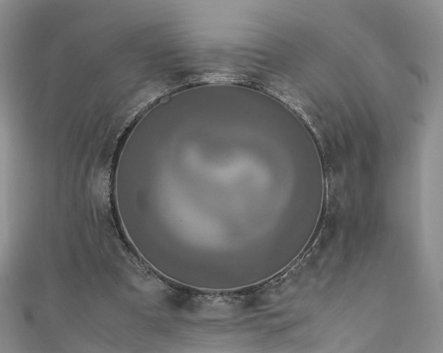 X0000110950297200906261326