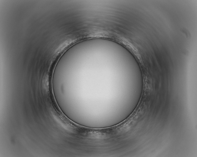 X0000110950298200906261326