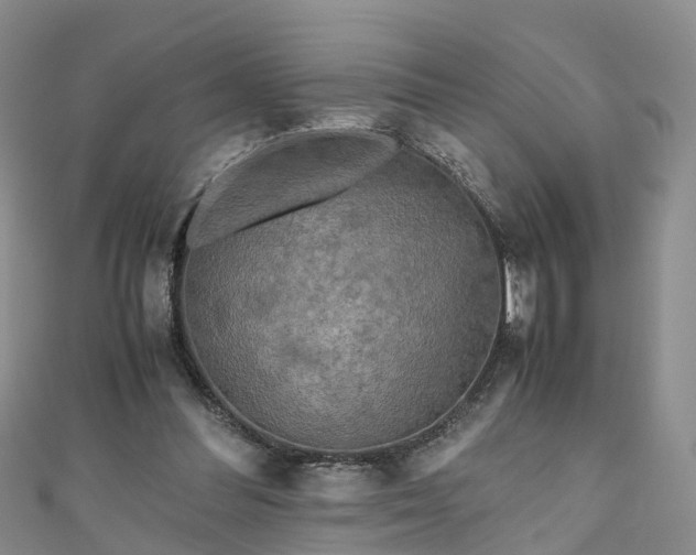 X0000110950300200906261326