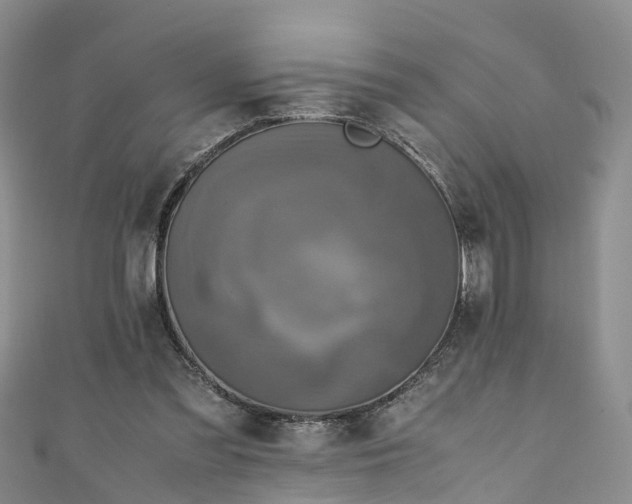 X0000110950301200906261326