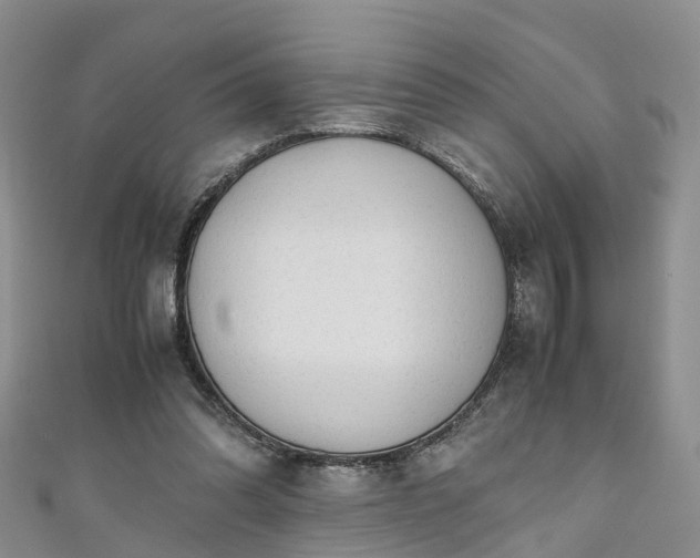 X0000110950302200906261326