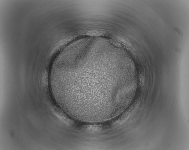 X0000110950303200906261326