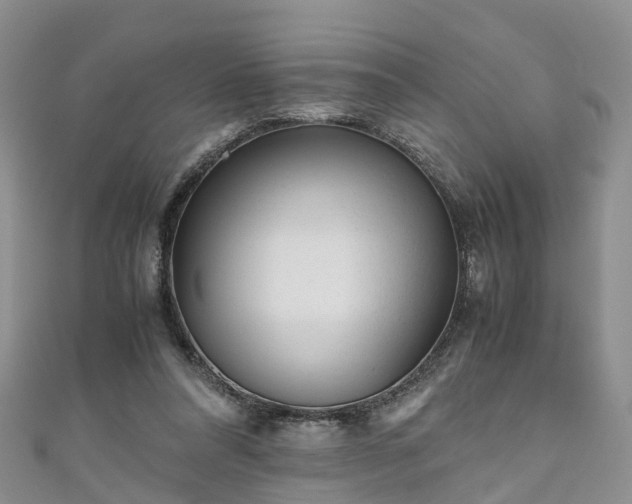 X0000110950304200906261326