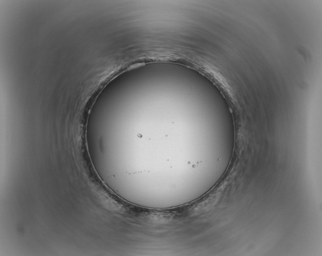 X0000110950305200906261326