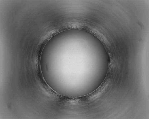 X0000110950306200906261326