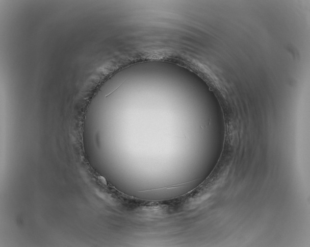 X0000110950307200906261326