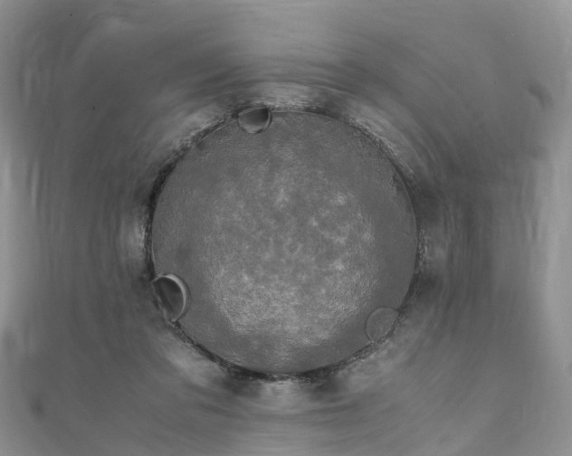 X0000110950309200906261326