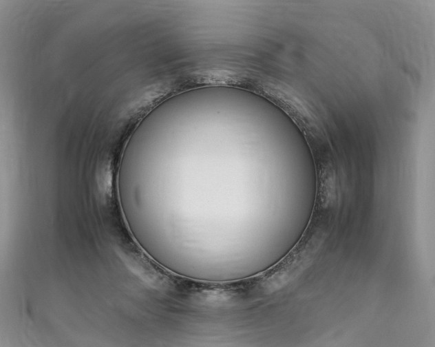 X0000110950310200906261326