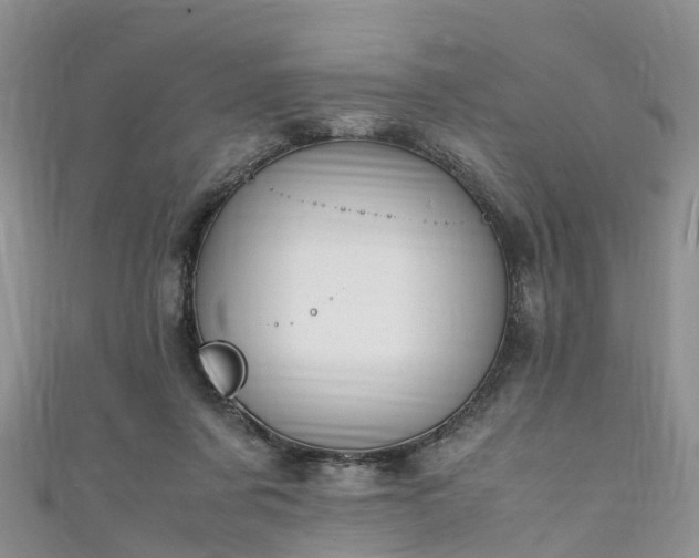 X0000110950311200906261326