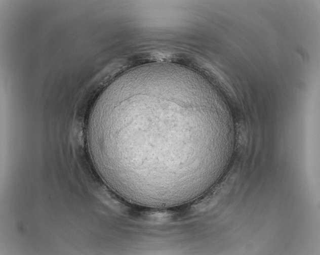 X0000110950313200906261326