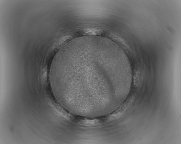 X0000110950314200906261326