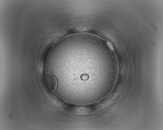 X0000110950315200906261326