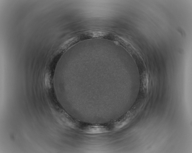 X0000110950316200906261326