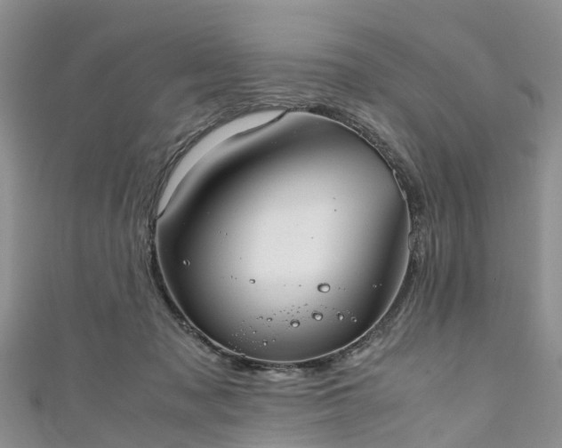 X0000110950317200906261326